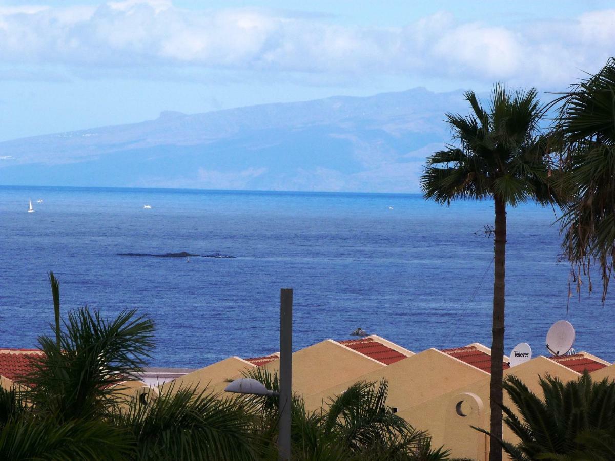 Playa De Fanabe Mareverde